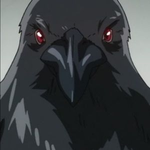 Meet your Posher, Leo